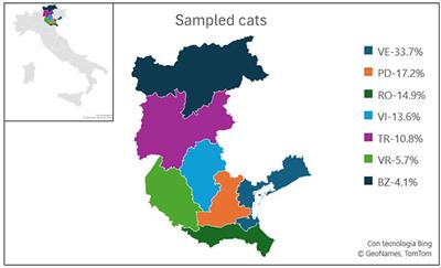 Influenza in feral cat populations: insights from a study in North-East Italy